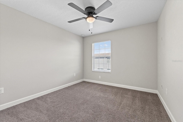 834 N Oregon Ave, Tampa, FL 33606 - photo 14