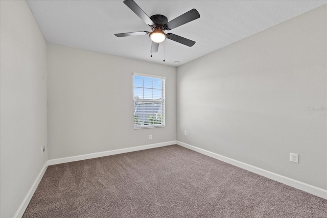 834 N Oregon Ave, Tampa, FL 33606 - photo 17