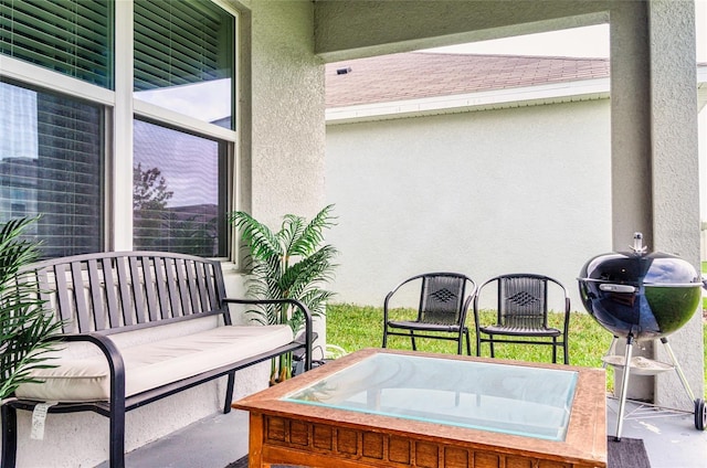 33668 Elm Hill Br, Wesley Chapel, FL 33545 - view of patio