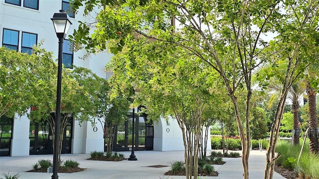 33668 Elm Hill Br, Wesley Chapel, FL 33545 - view of community