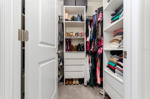 33668 Elm Hill Br, Wesley Chapel, FL 33545 - spacious closet featuring carpet flooring