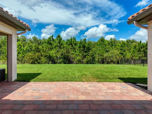 3236 Barbour Trl, Odessa, FL 33556 - photo 48