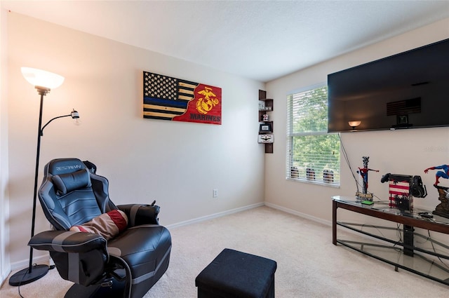 12624 White Bluff Rd, Hudson, FL 34669 - living area featuring carpet and baseboards