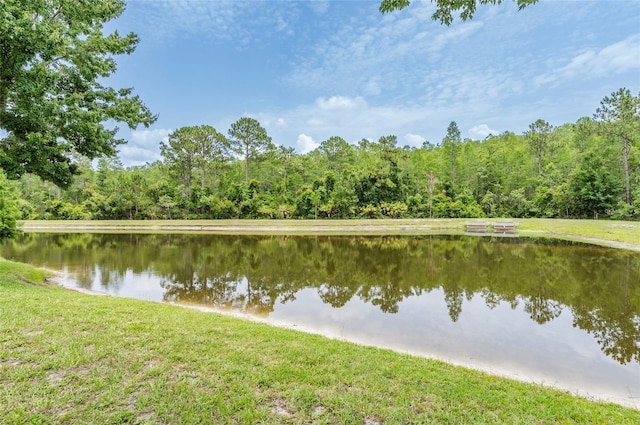 12624 White Bluff Rd, Hudson, FL 34669 - water view featuring a heavily wooded area