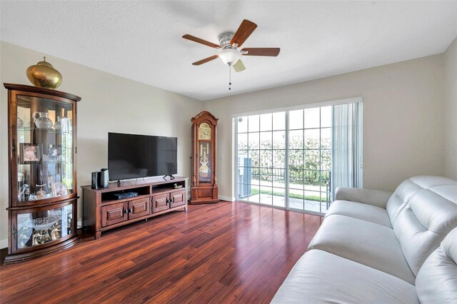 2007 Searay Shore Dr, Clearwater, FL 33763 - photo 3
