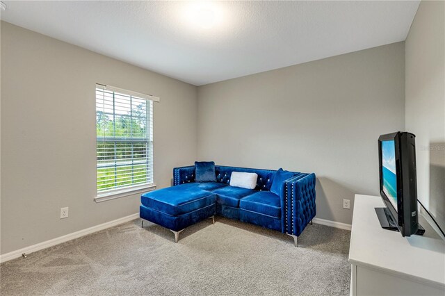 1246 County St E, Lehigh Acres, FL 33974 - photo 22