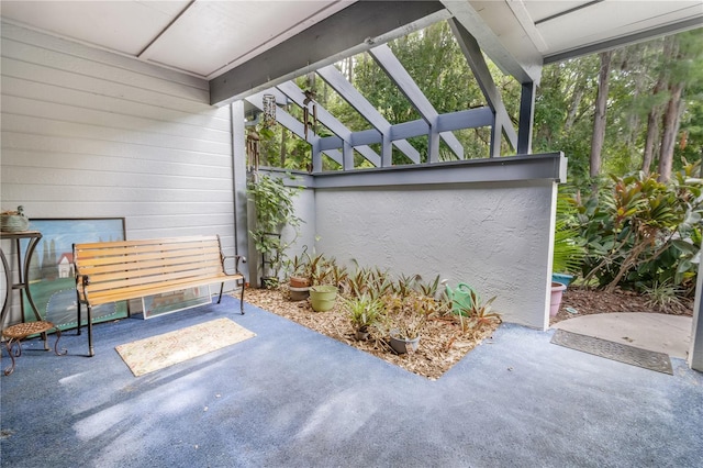 70 Morning Dove Pl, Oldsmar, FL 34677 - view of patio