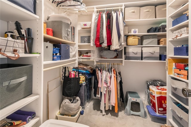 70 Morning Dove Pl, Oldsmar, FL 34677 - view of walk in closet