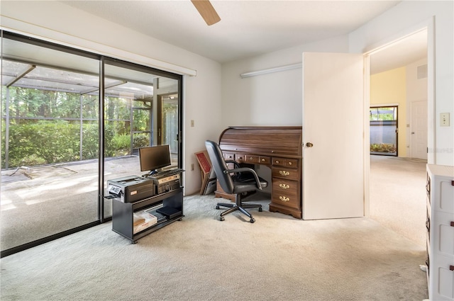 70 Morning Dove Pl, Oldsmar, FL 34677 - office space featuring carpet, plenty of natural light, and ceiling fan