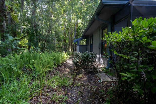 70 Morning Dove Pl, Oldsmar, FL 34677 - view of property exterior