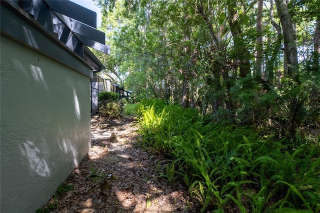 70 Morning Dove Pl, Oldsmar, FL 34677 - view of yard