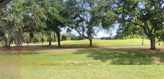 70 Morning Dove Pl, Oldsmar, FL 34677 - view of property's community featuring a yard, view of golf course, and view of wooded area