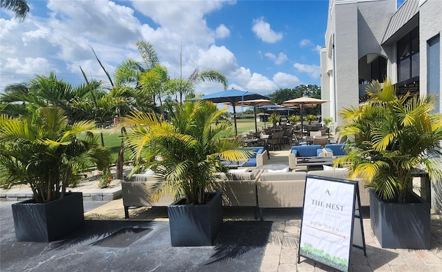 70 Morning Dove Pl, Oldsmar, FL 34677 - view of patio with outdoor lounge area