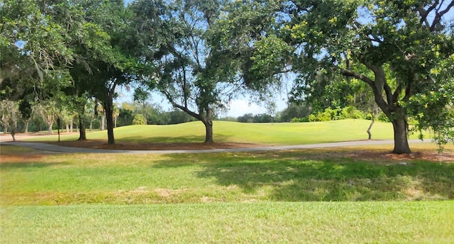 70 Morning Dove Pl, Oldsmar, FL 34677 - view of community with a lawn, golf course view, and view of scattered trees