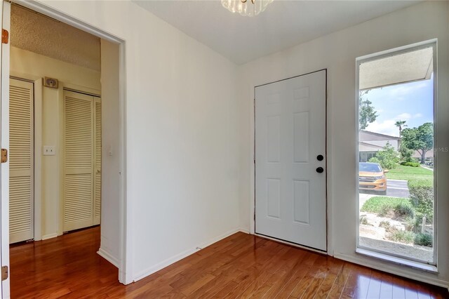 50 Ingrid Pl Unit 50, Oldsmar, FL 34677 - entryway featuring wood finished floors and baseboards