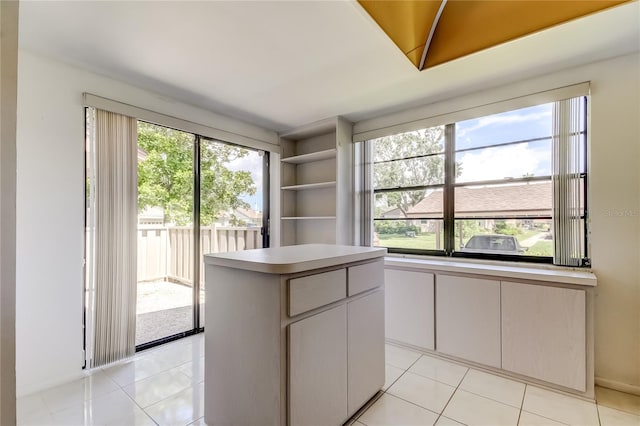 50 Ingrid Pl Unit 50, Oldsmar, FL 34677 - walk in closet with light tile patterned floors