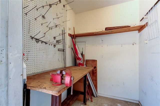 50 Ingrid Pl Unit 50, Oldsmar, FL 34677 - view of storage