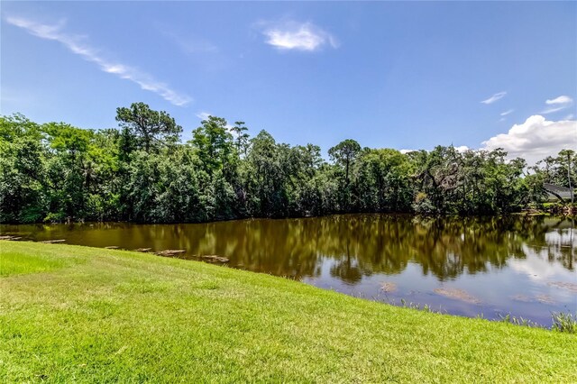 50 Ingrid Pl Unit 50, Oldsmar, FL 34677 - water view