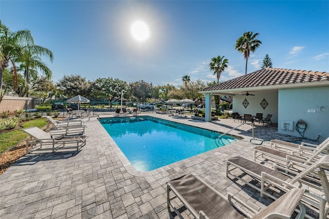 1710 Lago Vista Blvd, Palm Harbor, FL 34685 - community pool with a patio area and a ceiling fan