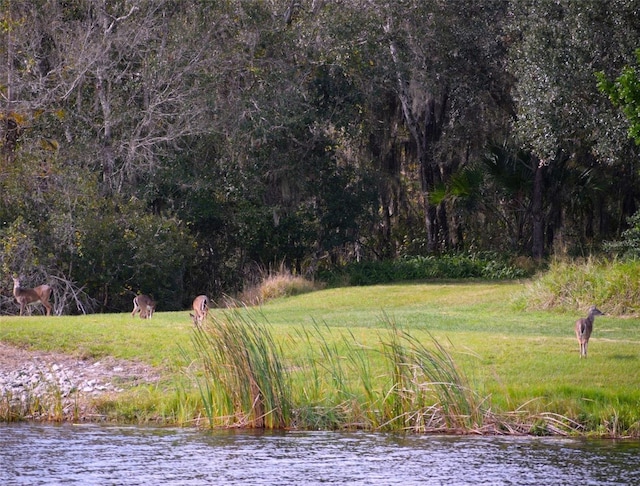 1710 Lago Vista Blvd, Palm Harbor, FL 34685 - view of yard featuring a water view