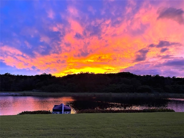 1710 Lago Vista Blvd, Palm Harbor, FL 34685 - water view with a heavily wooded area