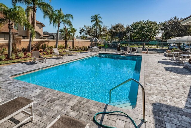 1710 Lago Vista Blvd, Palm Harbor, FL 34685 - photo 58