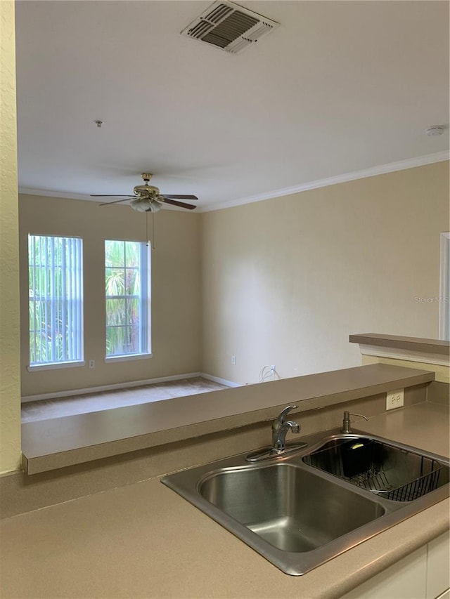 9320 Crescent Loop Cir Unit 304, Tampa, FL 33619 - kitchen featuring a sink, crown molding, and ceiling fan