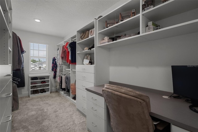 4077 Cadence Loop, Land O Lakes, FL 34638 - walk in closet with light colored carpet