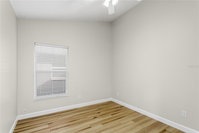 12335 Glenfield Ave, Tampa, FL 33626 - empty room with wood finished floors, ceiling fan, and baseboards