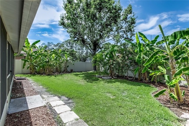 12335 Glenfield Ave, Tampa, FL 33626 - view of yard