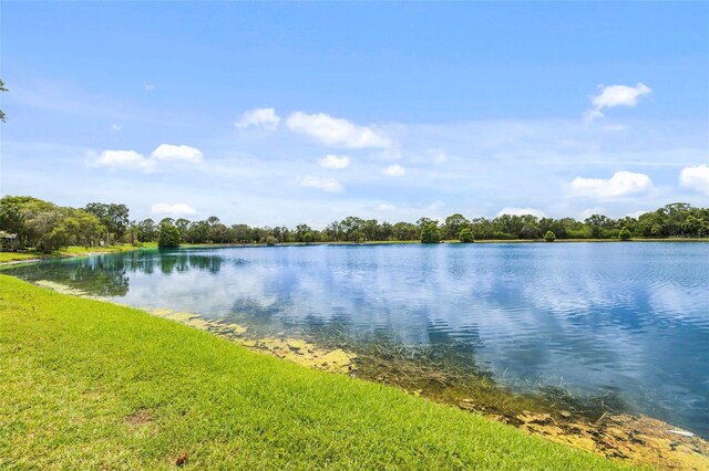 11613 Sunshine Pond Rd, Tampa, FL 33635 - photo 5