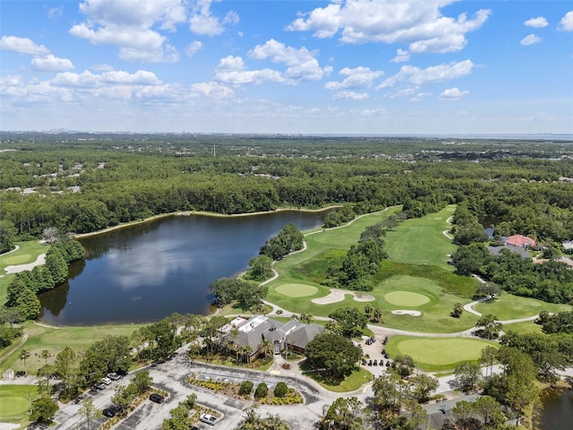 12209 Glencliff Cir, Tampa, FL 33626 - aerial view of a nearby body of water and a golf club