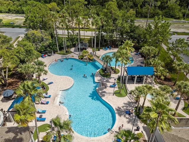 12209 Glencliff Cir, Tampa, FL 33626 - community pool with view of scattered trees