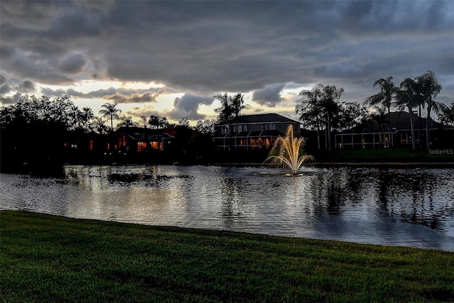 3895 Mimosa Pl, Palm Harbor, FL 34685 - photo 7