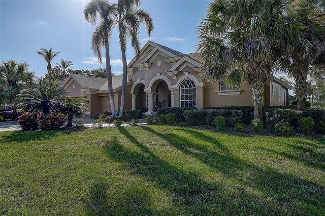 3895 Mimosa Pl, Palm Harbor, FL 34685 - photo 9