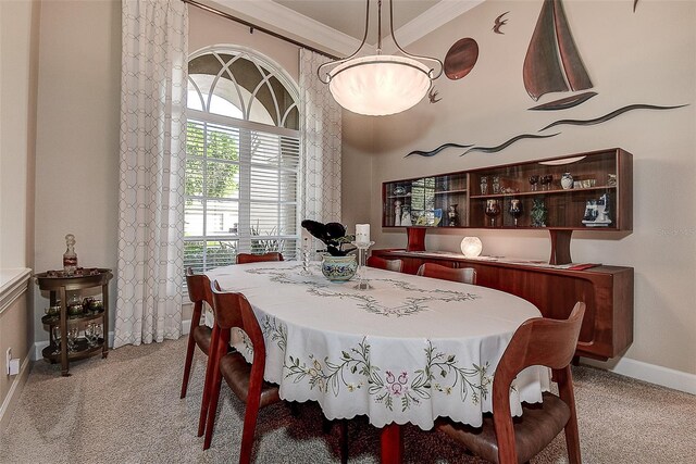 3895 Mimosa Pl, Palm Harbor, FL 34685 - photo 13