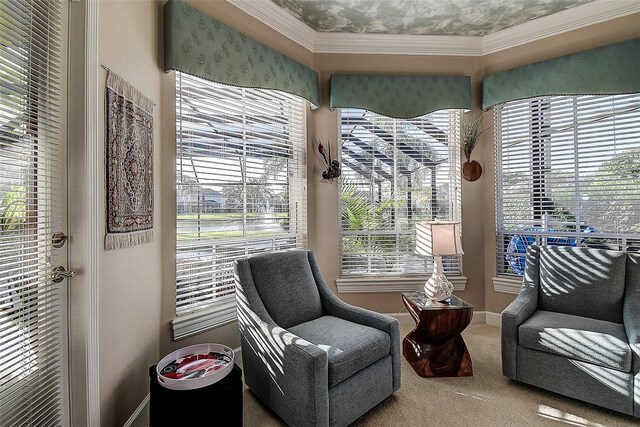 3895 Mimosa Pl, Palm Harbor, FL 34685 - photo 33