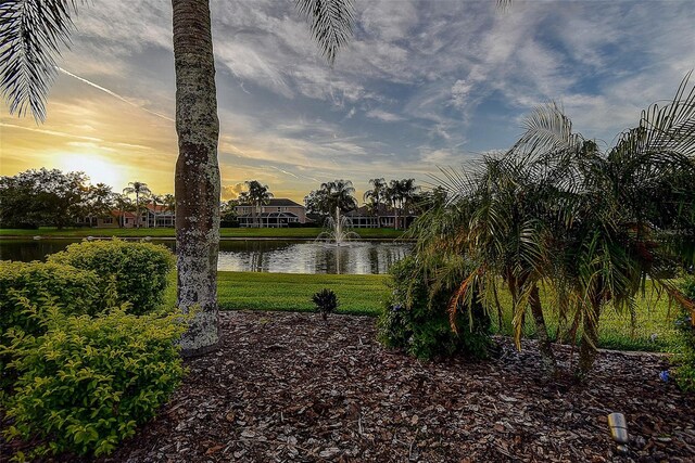 3895 Mimosa Pl, Palm Harbor, FL 34685 - photo 65