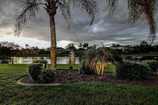 3895 Mimosa Pl, Palm Harbor, FL 34685 - photo 69