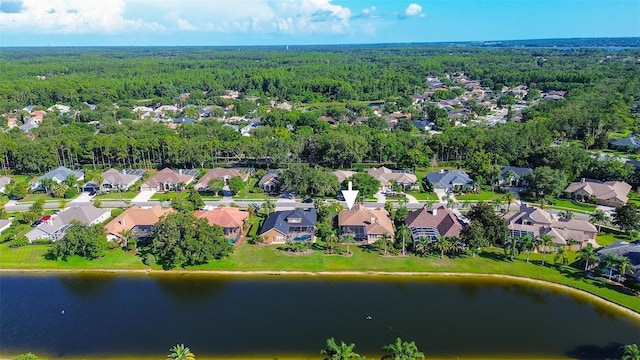 3895 Mimosa Pl, Palm Harbor, FL 34685 - photo 74