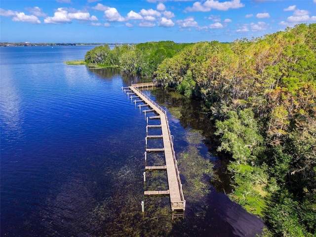 3895 Mimosa Pl, Palm Harbor, FL 34685 - photo 81