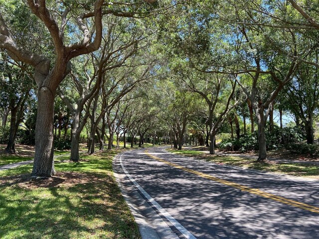 3895 Mimosa Pl, Palm Harbor, FL 34685 - photo 87
