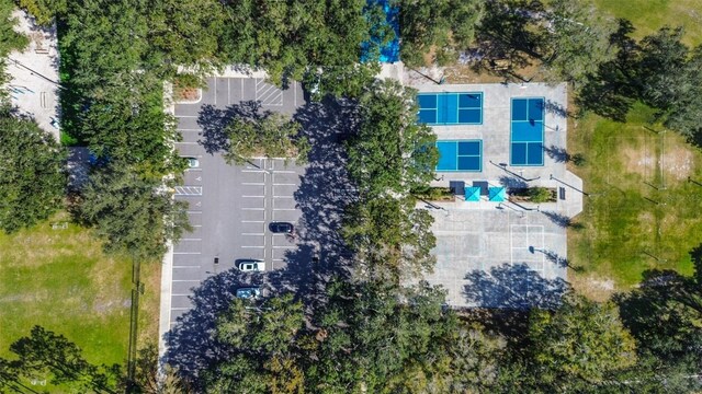 3895 Mimosa Pl, Palm Harbor, FL 34685 - photo 91