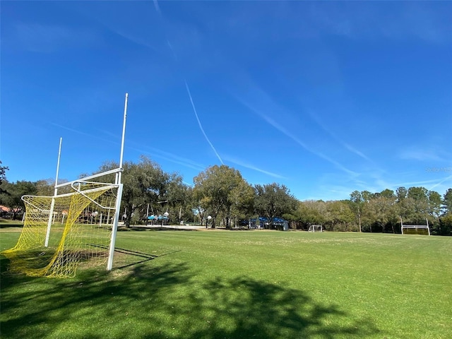 3895 Mimosa Pl, Palm Harbor, FL 34685 - photo 93