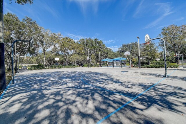 3895 Mimosa Pl, Palm Harbor, FL 34685 - photo 94