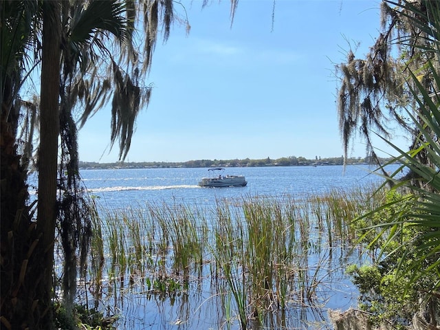 3895 Mimosa Pl, Palm Harbor, FL 34685 - photo 98