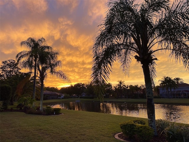 3895 Mimosa Pl, Palm Harbor, FL 34685 - photo 99