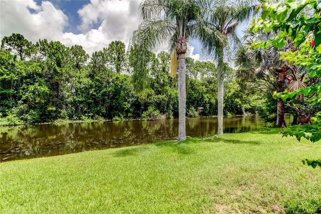 11121 Clayridge Dr, Tampa, FL 33635 - photo 45