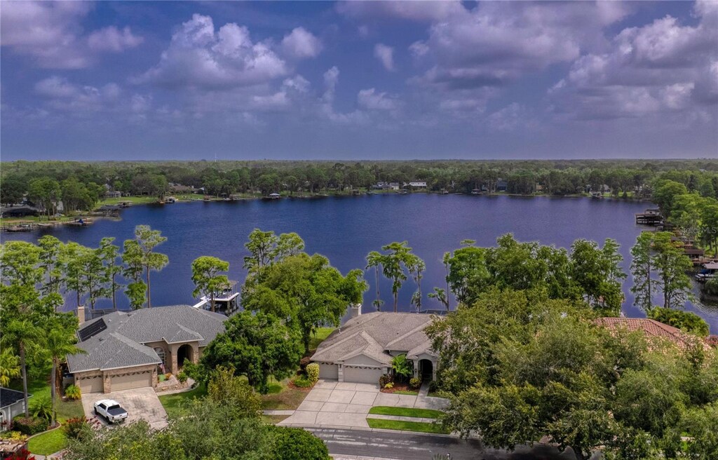 15012 Maurine Cove Ln, Odessa, FL 33556 - photo 1