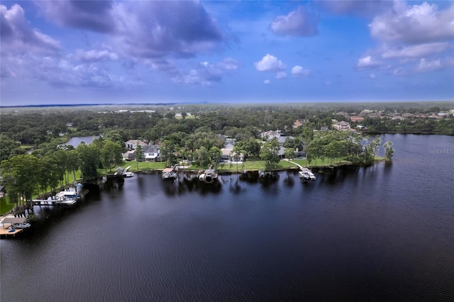 15012 Maurine Cove Ln, Odessa, FL 33556 - drone / aerial view of a nearby body of water